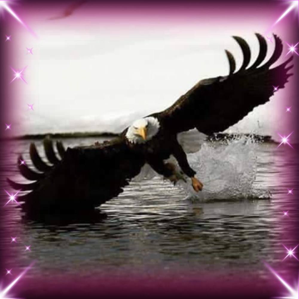 Meet your Posher, Ana